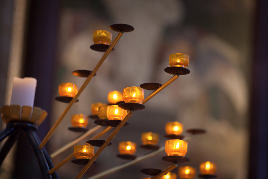 edel linie uber uns 1