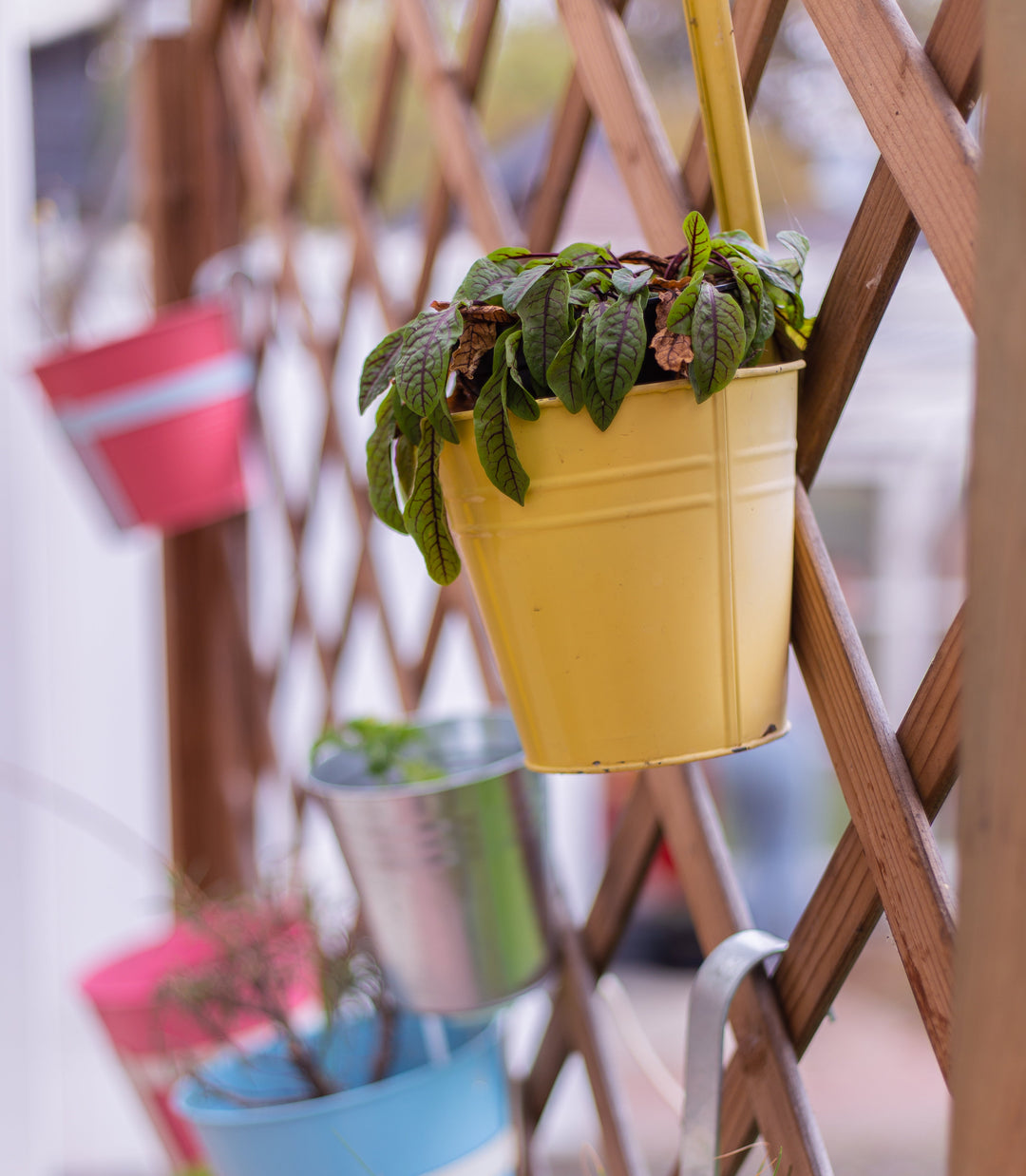 edel linie uber uns 2